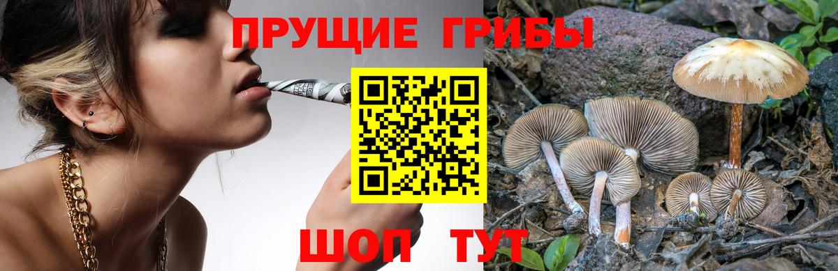 Галлюциногенные грибы Magic Shrooms  Вход с VPN  Электрогорск  Галлюциногенные грибы мицелий 